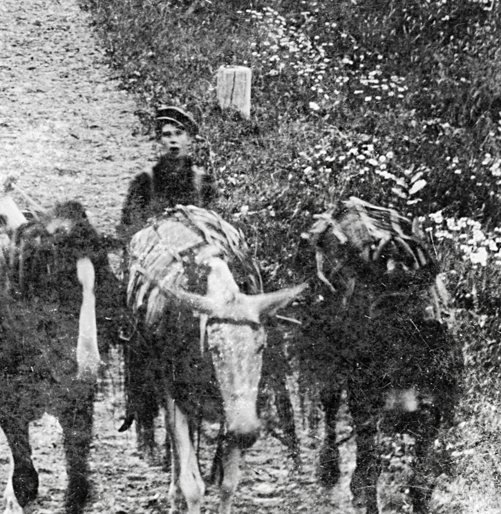 The Astonished Urger