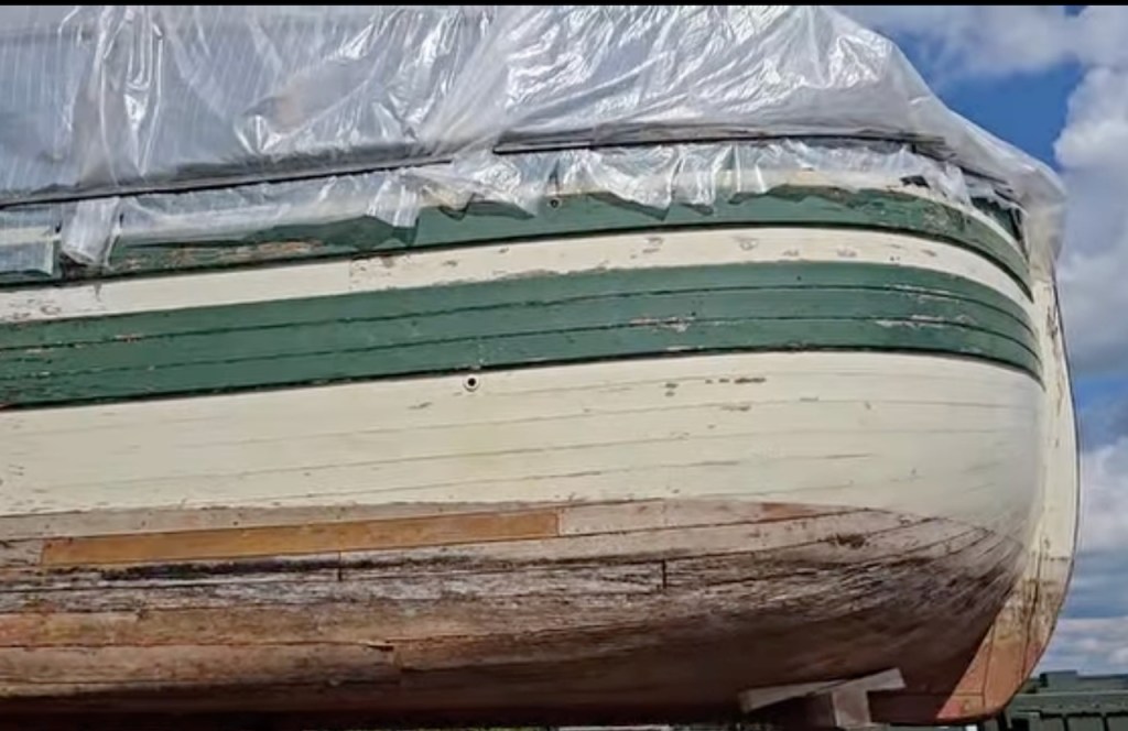 Lois McClure’s Long Last Voyage&nbsp;E