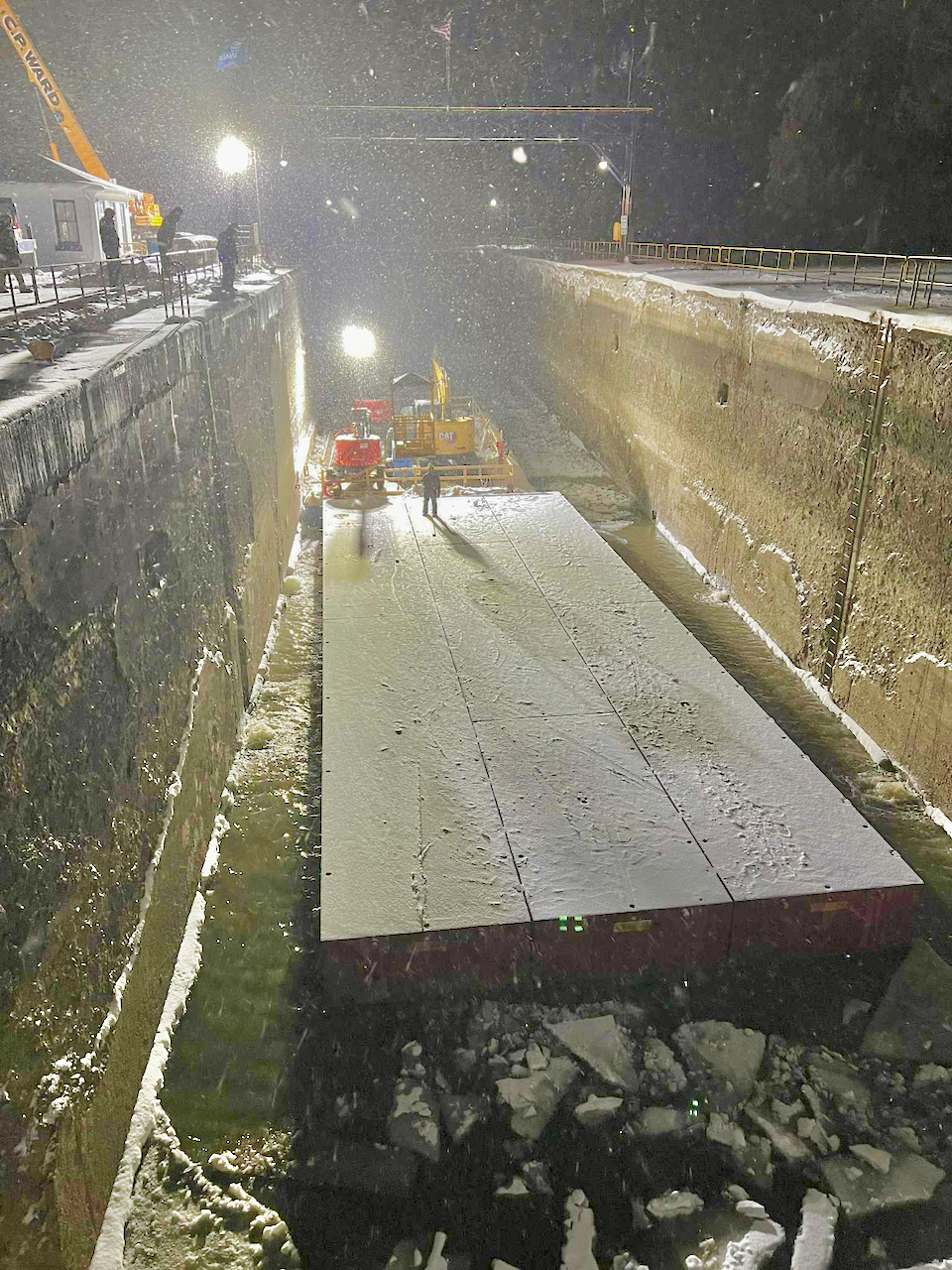 Quincy the Overseer dog, Follow-up